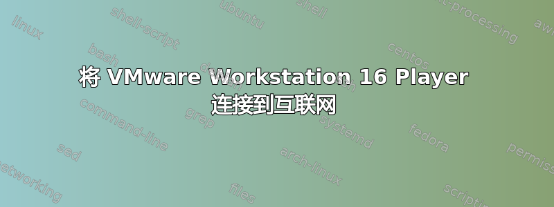 将 VMware Workstation 16 Player 连接到互联网