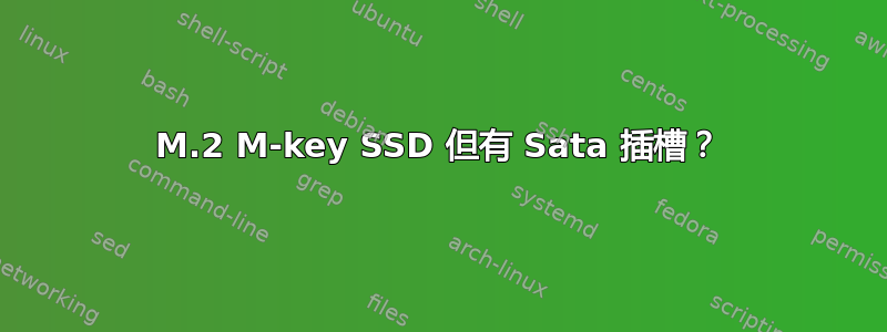 M.2 M-key SSD 但有 Sata 插槽？