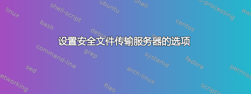 设置安全文件传输服务器的选项