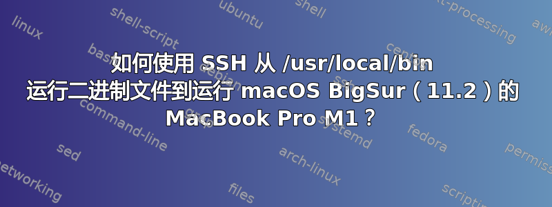 如何使用 SSH 从 /usr/local/bin 运行二进制文件到运行 macOS BigSur（11.2）的 MacBook Pro M1？