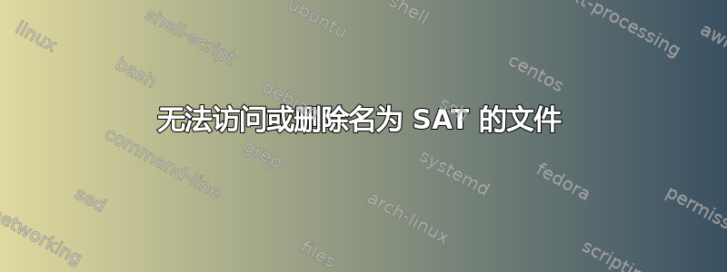 无法访问或删除名为 SAT 的文件