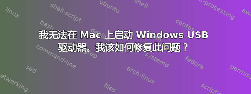 我无法在 Mac 上启动 Windows USB 驱动器。我该如何修复此问题？