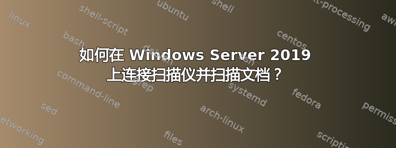 如何在 Windows Server 2019 上连接扫描仪并扫描文档？