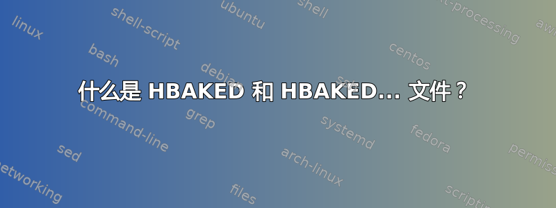 什么是 HBAKED 和 HBAKED... 文件？