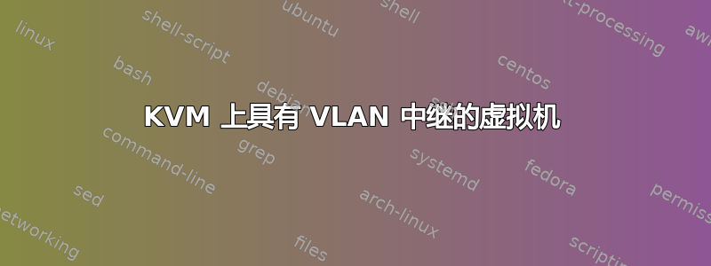 KVM 上具有 VLAN 中继的虚拟机