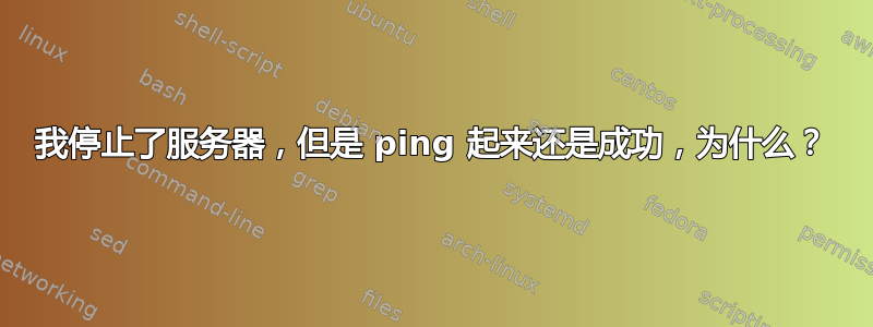 我停止了服务器，但是 ping 起来还是成功，为什么？