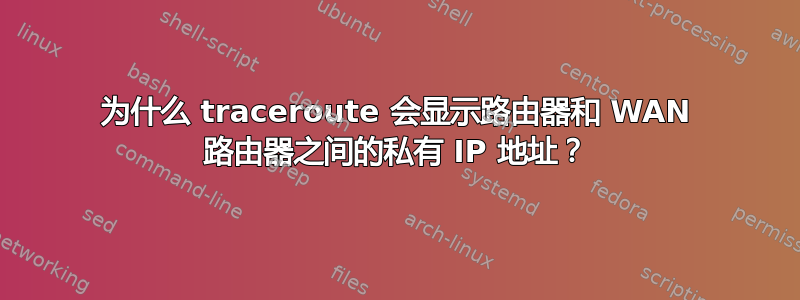 为什么 traceroute 会显示路由器和 WAN 路由器之间的私有 IP 地址？