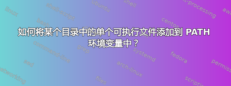 如何将某个目录中的单个可执行文件添加到 PATH 环境变量中？