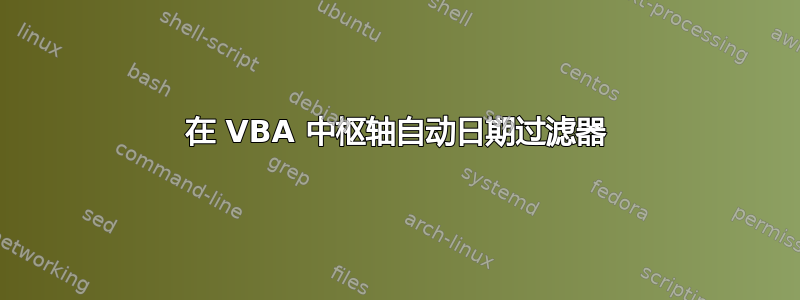 在 VBA 中枢轴自动日期过滤器