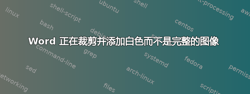 Word 正在裁剪并添加白色而不是完整的图像