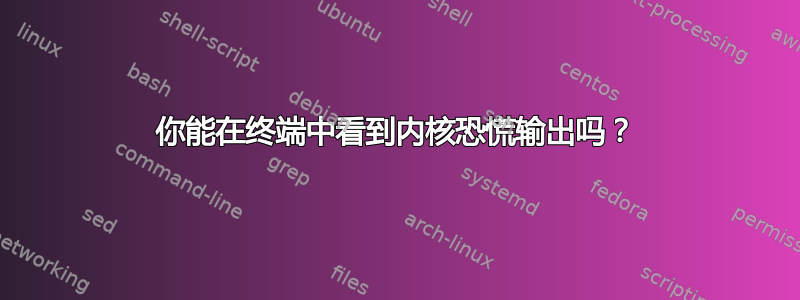 你能在终端中看到内核恐慌输出吗？