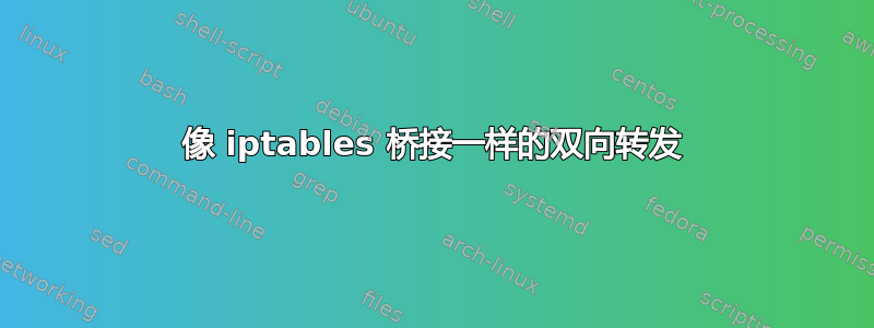 像 iptables 桥接一样的双向转发