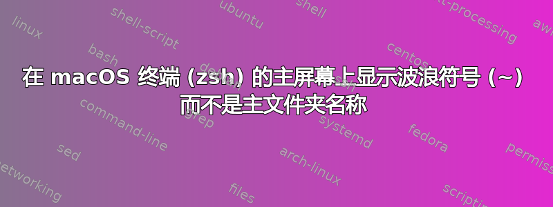 在 macOS 终端 (zsh) 的主屏幕上显示波浪符号 (~) 而不是主文件夹名称