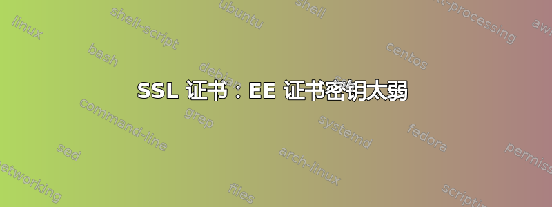 SSL 证书：EE 证书密钥太弱