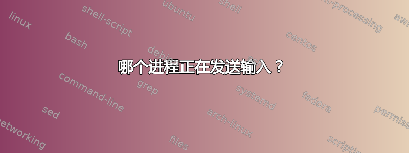 哪个进程正在发送输入？