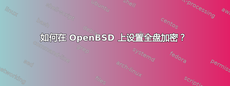 如何在 OpenBSD 上设置全盘加密？