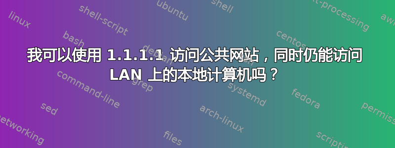 我可以使用 1.1.1.1 访问公共网站，同时仍能访问 LAN 上的本地计算机吗？