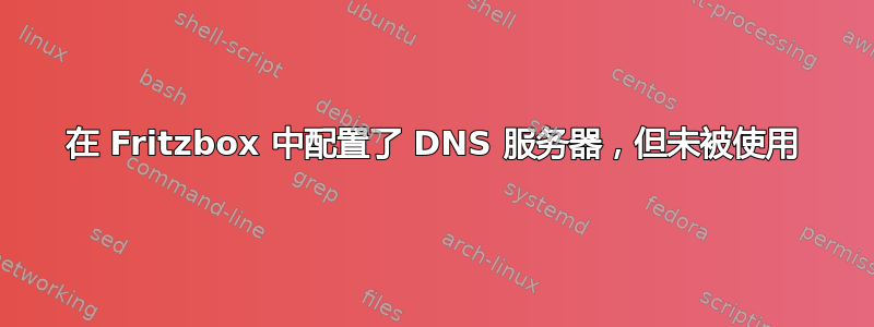 在 Fritzbox 中配置了 DNS 服务器，但未被使用