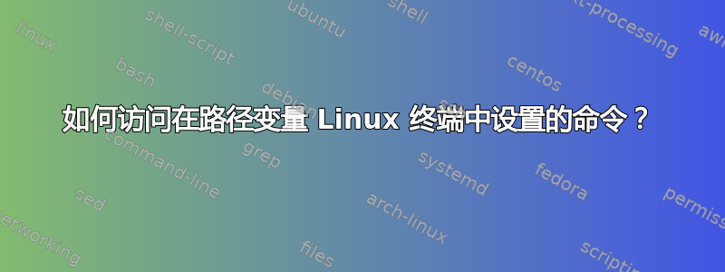 如何访问在路径变量 Linux 终端中设置的命令？