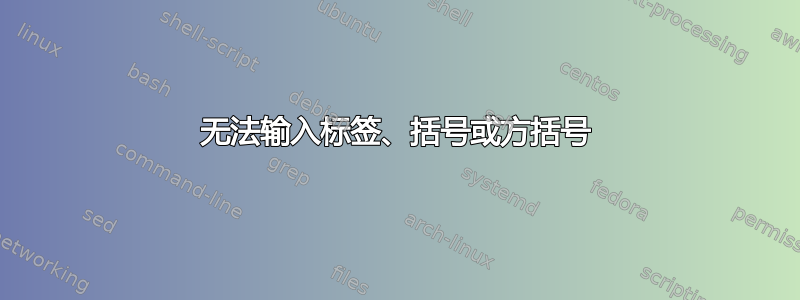 无法输入标签、括号或方括号