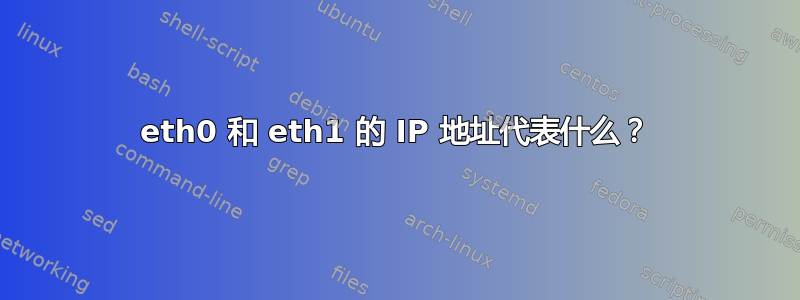 eth0 和 eth1 的 IP 地址代表什么？