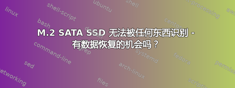 M.2 SATA SSD 无法被任何东西识别 - 有数据恢复的机会吗？