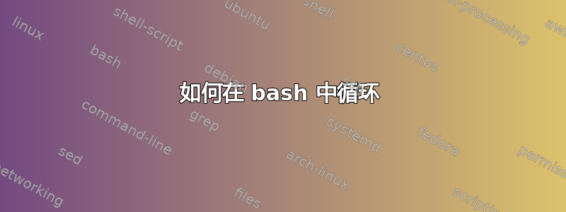 如何在 bash 中循环