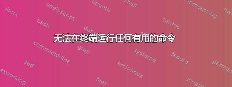 无法在终端运行任何有用的命令