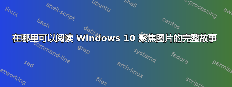 在哪里可以阅读 Windows 10 聚焦图片的完整故事