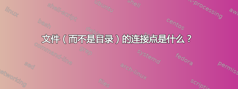 文件（而不是目录）的连接点是什么？