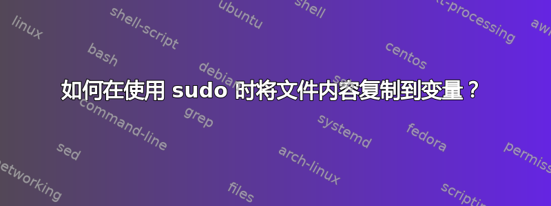 如何在使用 sudo 时将文件内容复制到变量？