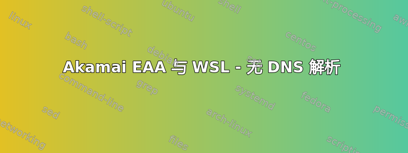 Akamai EAA 与 WSL - 无 DNS 解析