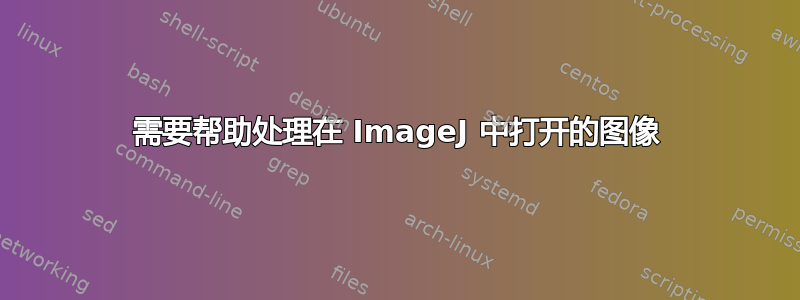 需要帮助处理在 ImageJ 中打开的图像