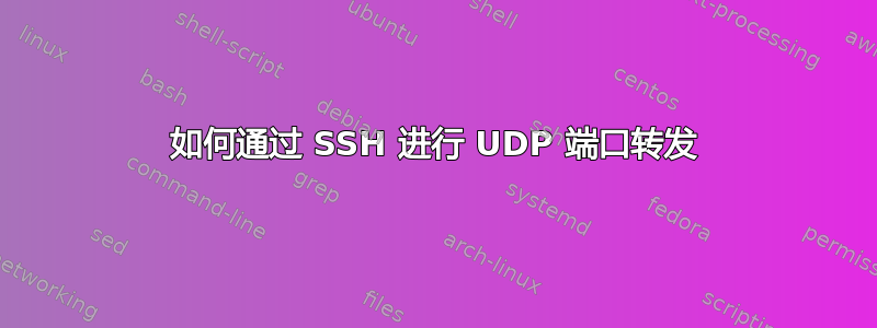 如何通过 SSH 进行 UDP 端口转发