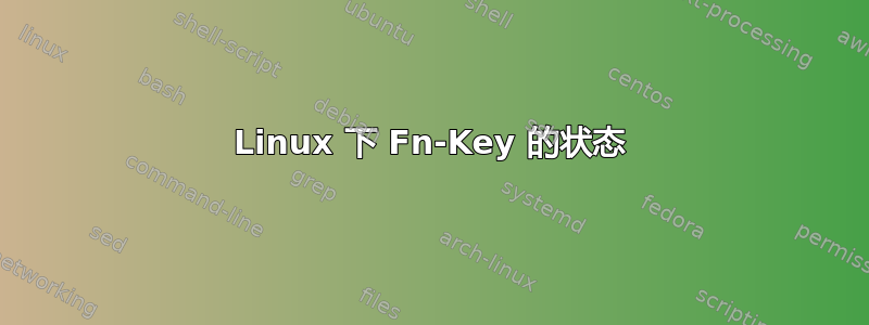 Linux 下 Fn-Key 的状态