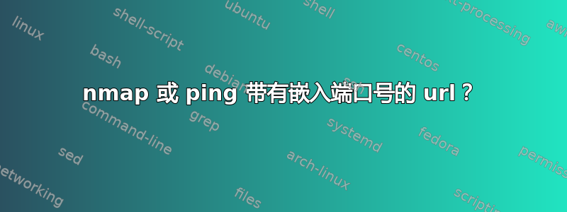 nmap 或 ping 带有嵌入端口号的 url？