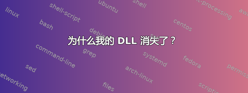 为什么我的 DLL 消失了？