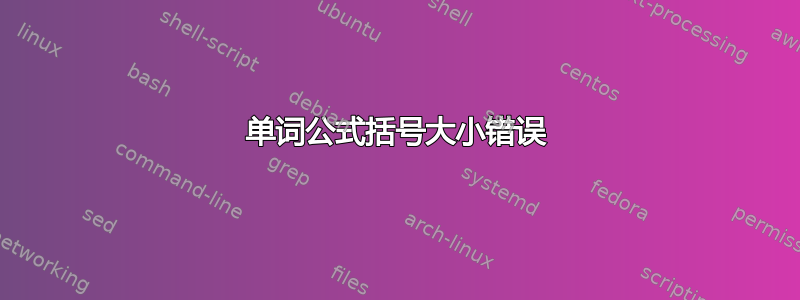 单词公式括号大小错误