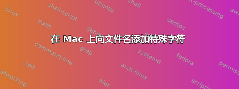 在 Mac 上向文件名添加特殊字符