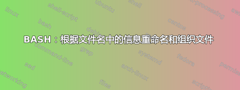 BASH：根据文件名中的信息重命名和组织文件