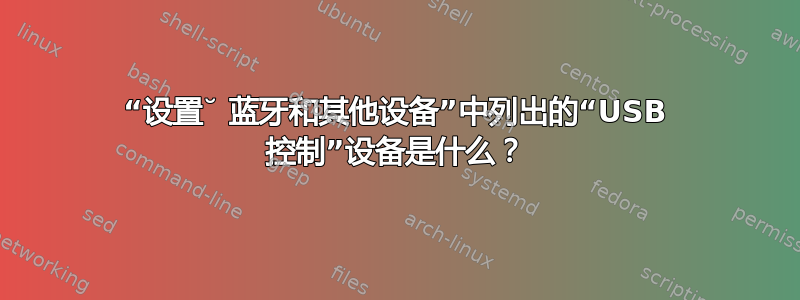 “设置˘ 蓝牙和其他设备”中列出的“USB 控制”设备是什么？