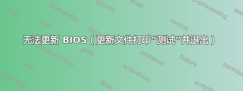 无法更新 BIOS（更新文件打印“测试”并退出）