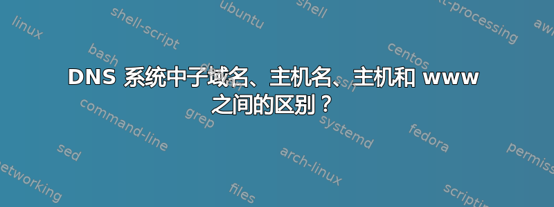 DNS 系统中子域名、主机名、主机和 www 之间的区别？