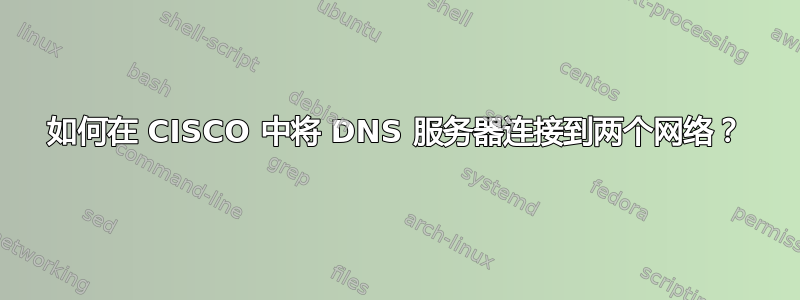 如何在 CISCO 中将 DNS 服务器连接到两个网络？