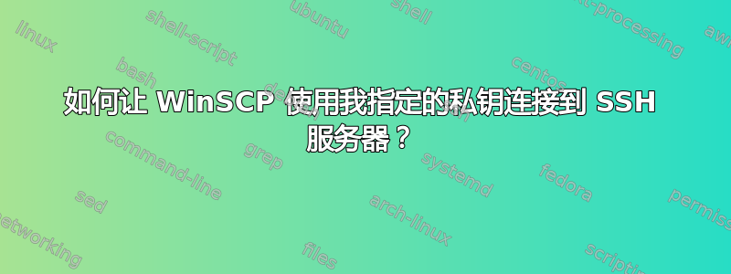 如何让 WinSCP 使用我指定的私钥连接到 SSH 服务器？