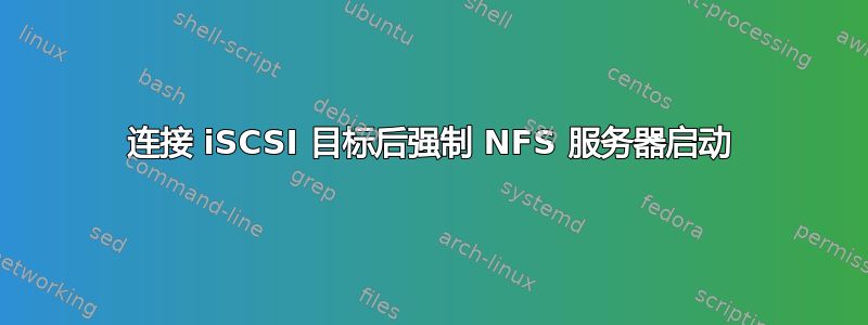 连接 iSCSI 目标后强制 NFS 服务器启动