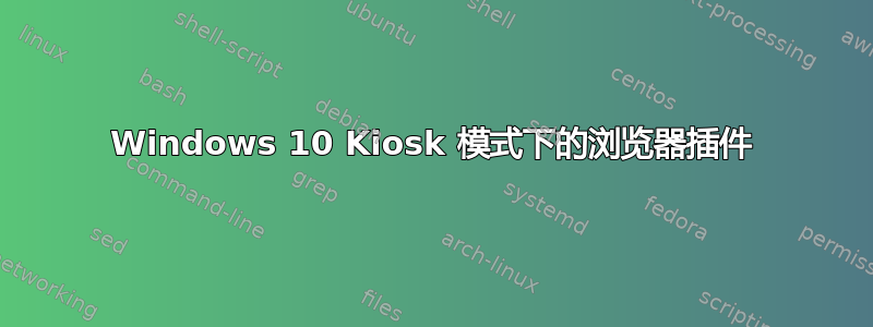 Windows 10 Kiosk 模式下的浏览器插件