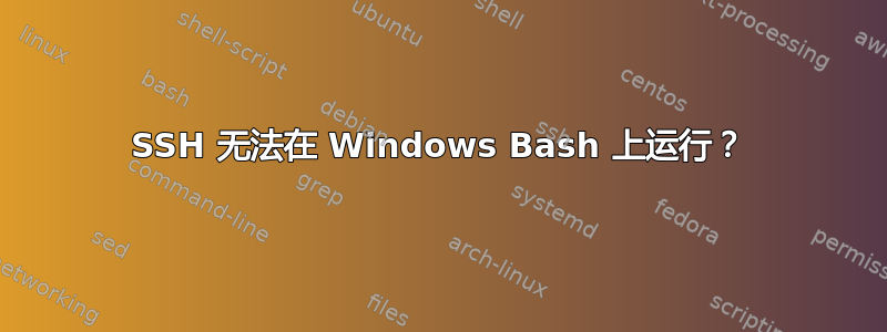 SSH 无法在 Windows Bash 上运行？