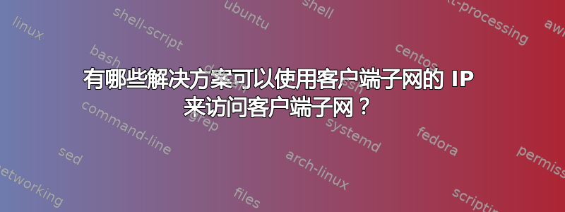 有哪些解决方案可以使用客户端子网的 IP 来访问客户端子网？