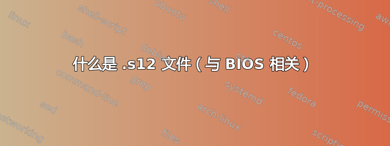 什么是 .s12 文件（与 BIOS 相关）